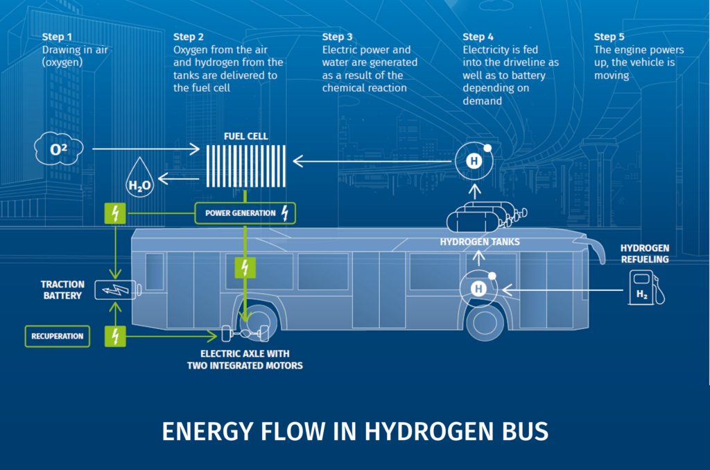 Hydrogen and Electric Buses